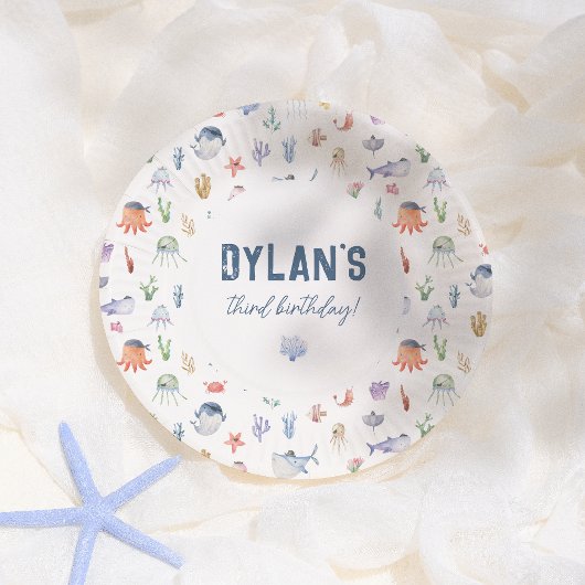 シーボーイ・バースデーパーティーの下の海賊海 ペーパープレート