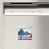 シーマグネットからのピトン マグネット (インサイチュ (食洗機))