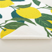 シームレスな柑橘類。手描きヴィンテージ シェルパブランケット (3/4)