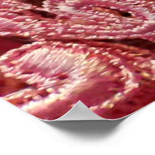 シームレス素晴らしな美しいヴィンとピンクのレースのテクスチャ ポスター (角)