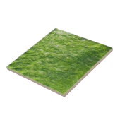 シーモスグリーン自然グラスビーチ 航海の タイル (側面)