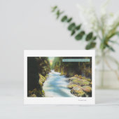 シーモールキャニオンの表示 ポストカード (スタンド正面)