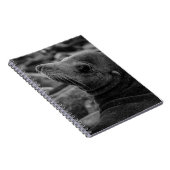 シーライオンが振り返る – かわいい野生動物の写真 ノートブック (右側)