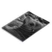 シーライオンが振り返る – かわいい野生動物の写真 ノートブック (左側)