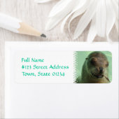 シーライオンと魚の差出人住所ラベル ラベル (インサイチュ)