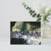 シーライオンの洞窟、または ポストカード (スタンド正面)