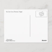 シーライオンの洞窟、または ポストカード (裏面)