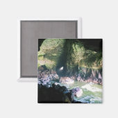 シーライオンの洞窟、または マグネット (正面/裏面)