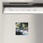 シーライオンの洞窟、または マグネット (インサイチュ (食洗機))