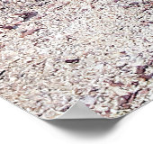 シーライオンカップ ポスター (角)