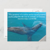 シーライオンスイミングインハーバーウィズガンディ引用文 ポストカード (正面/裏面)