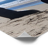 シーライオンズオンビーチ ポスター (角)