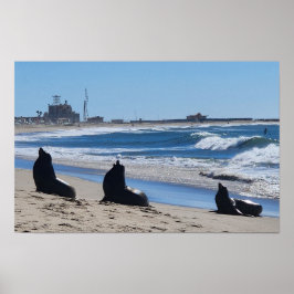 シーライオンズオンビーチ ポスター