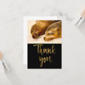 シーライオンズスリーピングサンキュー カード (正面/裏面インサイチュ)