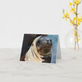 シーライオンポートレート カード (黄色い花)