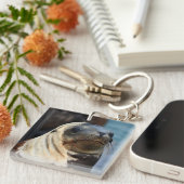 シーライオンポートレート キーホルダー (正面右)