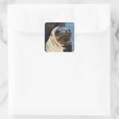 シーライオンポートレート スクエアシール (バッグ)