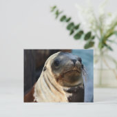 シーライオンポートレート ポストカード (スタンド正面)