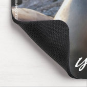 シーライオンマウスパッド マウスパッド (コーナー)