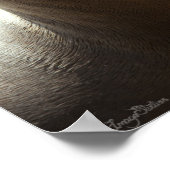 シーライオン2 ポスター (角)