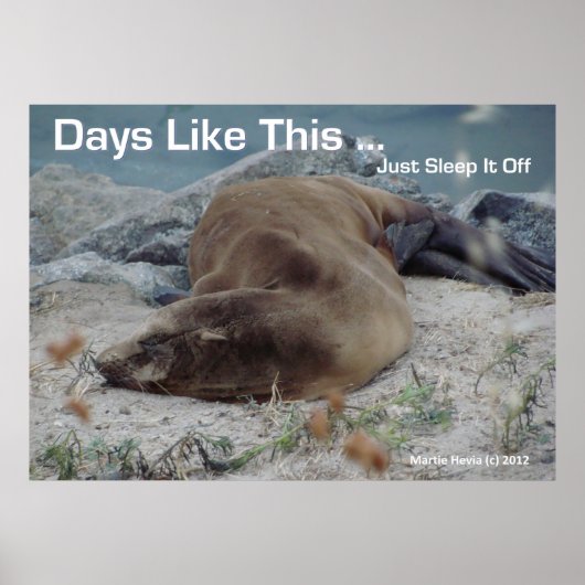 シーライオン – このような日 – ポスター (正面)