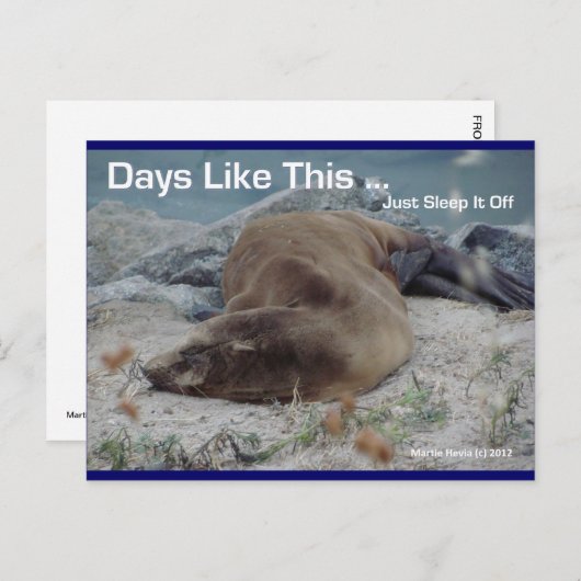 シーライオン – このような日 – ポストカード (正面/裏面)