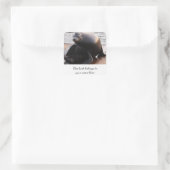 シーライオン「この本は所有する」ステッカー スクエアシール (バッグ)