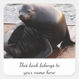 シーライオン「この本は所有する」ステッカー スクエアシール