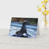 シーライオン カード (黄色い花)