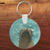 シーライオン キーホルダー (正面)