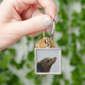 シーライオン キーホルダー (手)