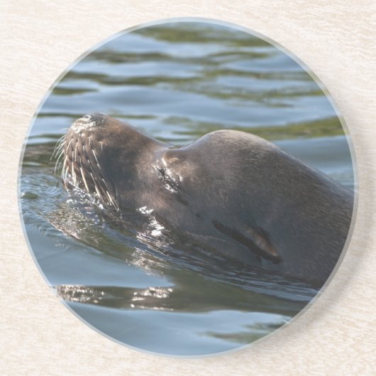 シーライオン コースター (正面)