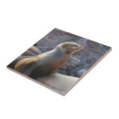 シーライオン タイル (側面)