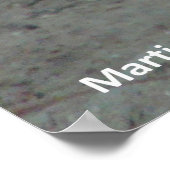 シーライオン – 常に見上げる！-ポスター ポスター (角)