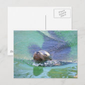 シーライオン；物事の中で！ ポストカード (正面/裏面)