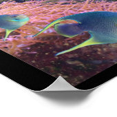 シーライフのポスター ポスター (角)