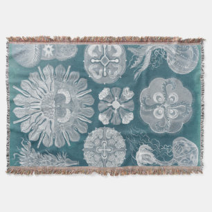 シーライフの青写真IV スローブランケット