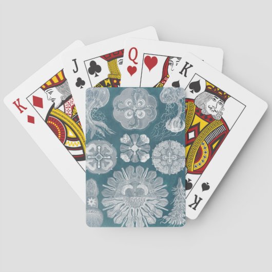 シーライフの青写真IV トランプ (裏面)