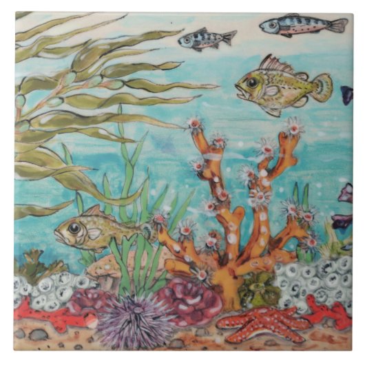 シーライフコーラルヒトウニ海壁画Pc.#3 タイル (正面)