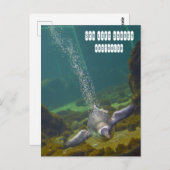 シーライフシドニー水族館(オーストラリア) ポストカード (正面/裏面)