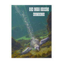 シーライフシドニー水族館（オーストラリア）