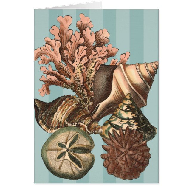 シーライフシルエット (正面)