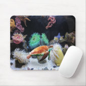 シーライフマウスパッド マウスパッド (マウス)