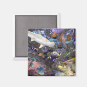 シーライフマグネット マグネット (正面/裏面)