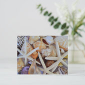 シーライフメンガリー ポストカード (スタンド正面)