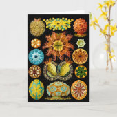 シーライフ海の生物プリント カード (黄色い花)