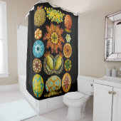 シーライフ海の生物プリント シャワーカーテン (インサイチュ)