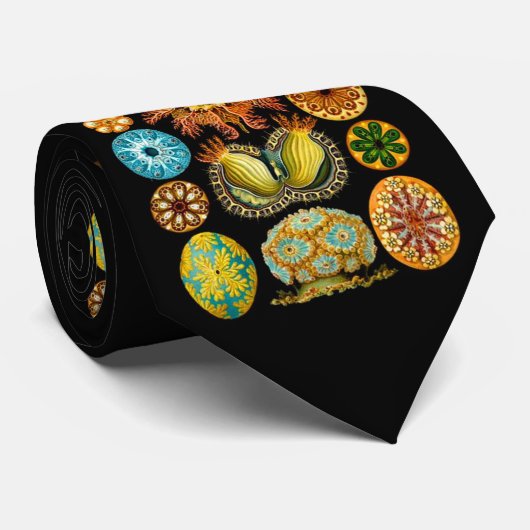 シーライフ海の生物プリント ネクタイ (ロール)