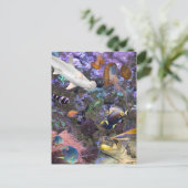 シーライフ葉書 ポストカード (スタンド正面)