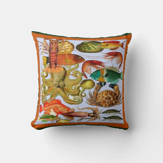 シーライフ クッション (正面)